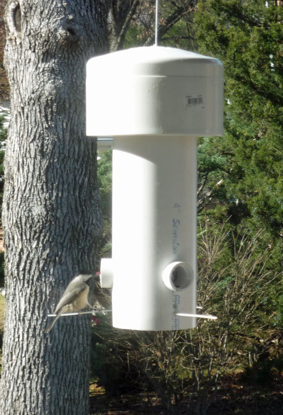 bird feeder squirrel proof