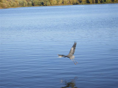 10-19-09 Underwater #40089